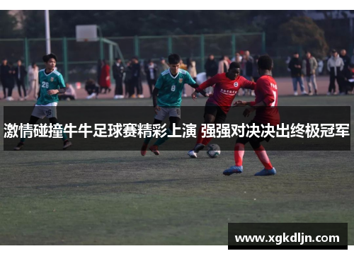 激情碰撞牛牛足球赛精彩上演 强强对决决出终极冠军