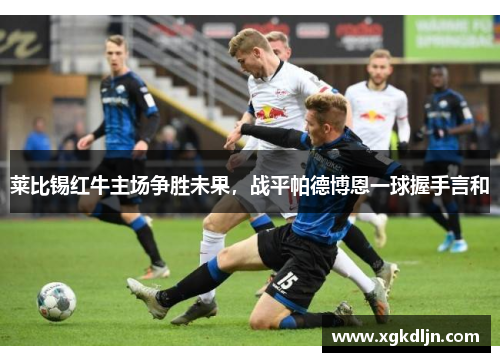 莱比锡红牛主场争胜未果，战平帕德博恩一球握手言和