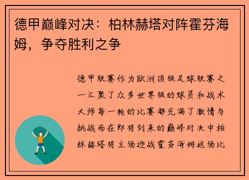 德甲巅峰对决：柏林赫塔对阵霍芬海姆，争夺胜利之争